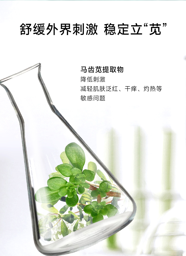 马齿苋急救舒缓水代加工 马齿苋急救舒缓水代加工