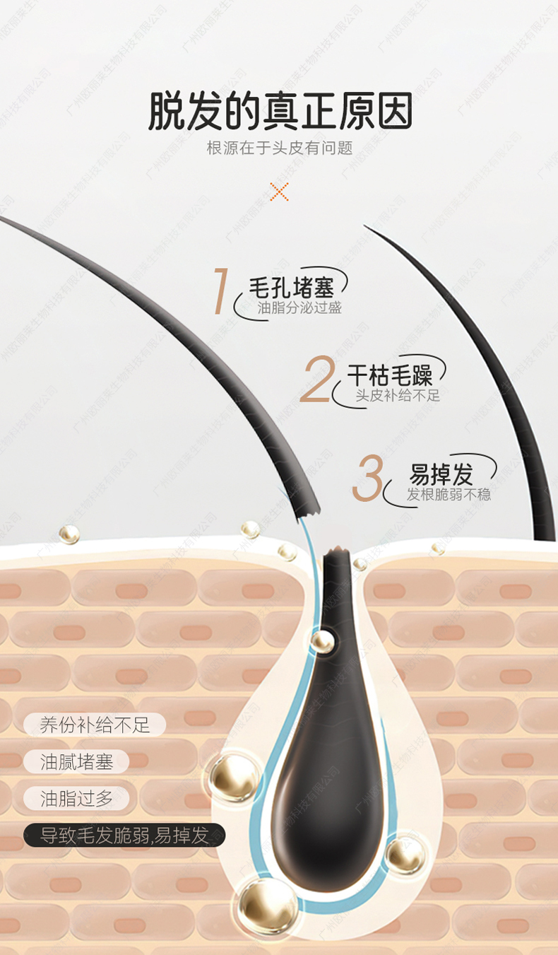 1731401848666300.jpg 凤姜鲜萃洗发水详情_02.jpg