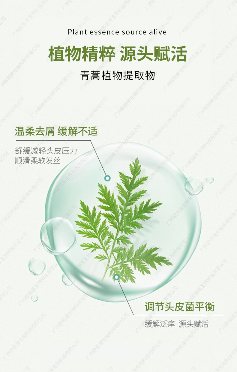 青蒿去屑柔顺洗发水代加工详情介绍2.jpg 青蒿去屑柔顺洗发水代加工详情介绍2.jpg