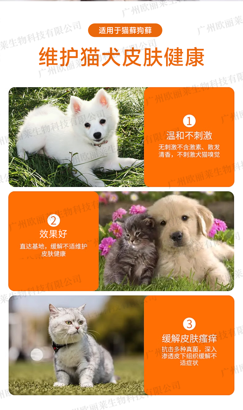猫藓狗藓修护凝乳生产代加工介绍3.jpg