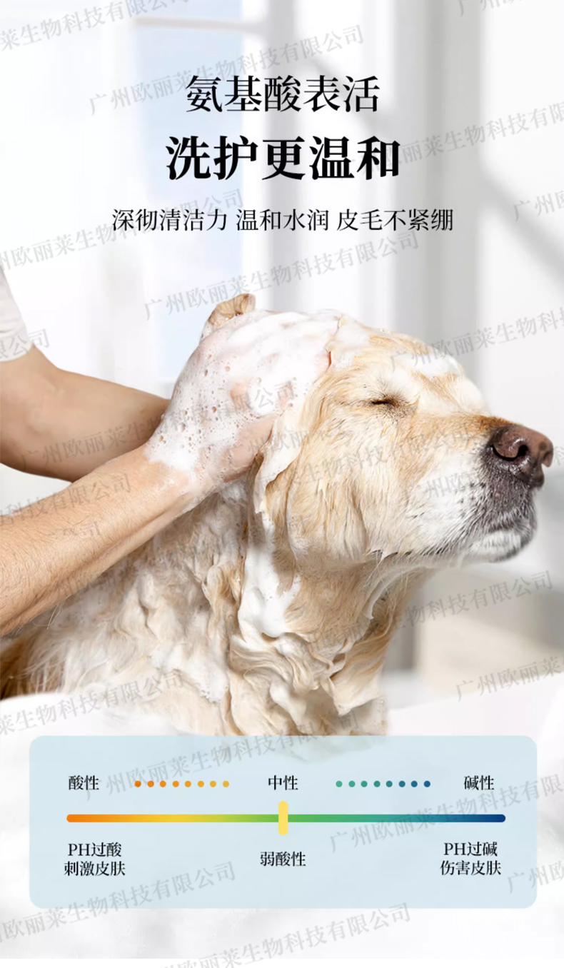 猫狗氨基酸宠物洗护生产代加工详情介绍3.jpg 猫狗氨基酸宠物洗护生产代加工详情介绍3.jpg