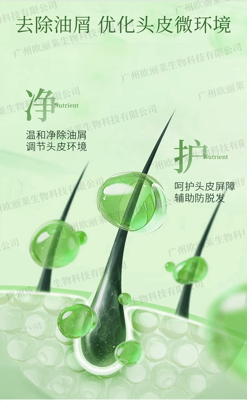 核桃青汁臻润头发护理OEM代加工详情介绍3.jpg