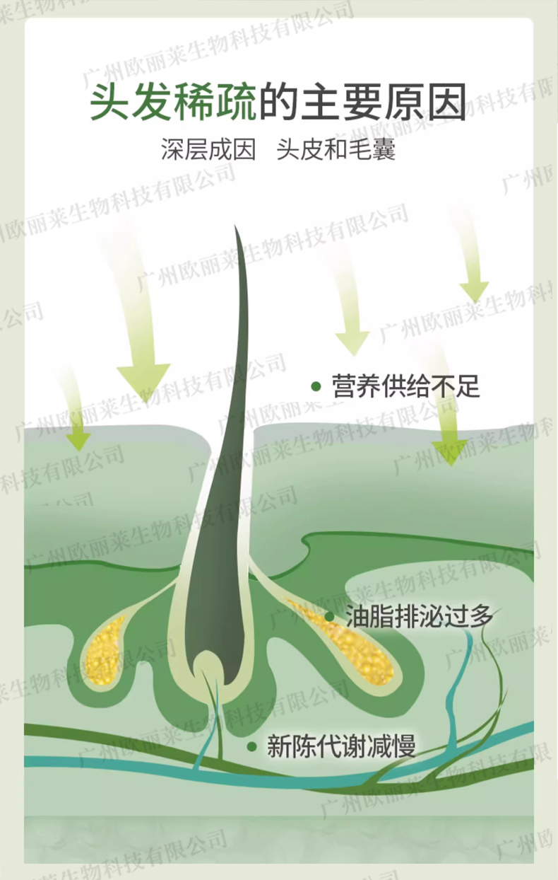 头皮养护防脱精华代加工详情2.jpg